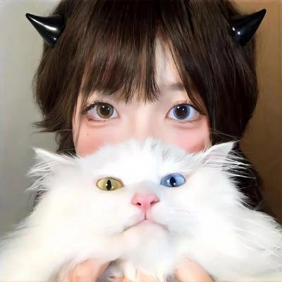 派特森与芬达猫4